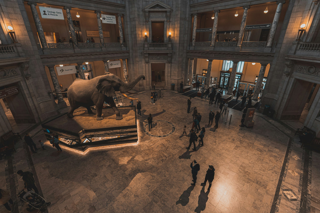 Why I Love Museums