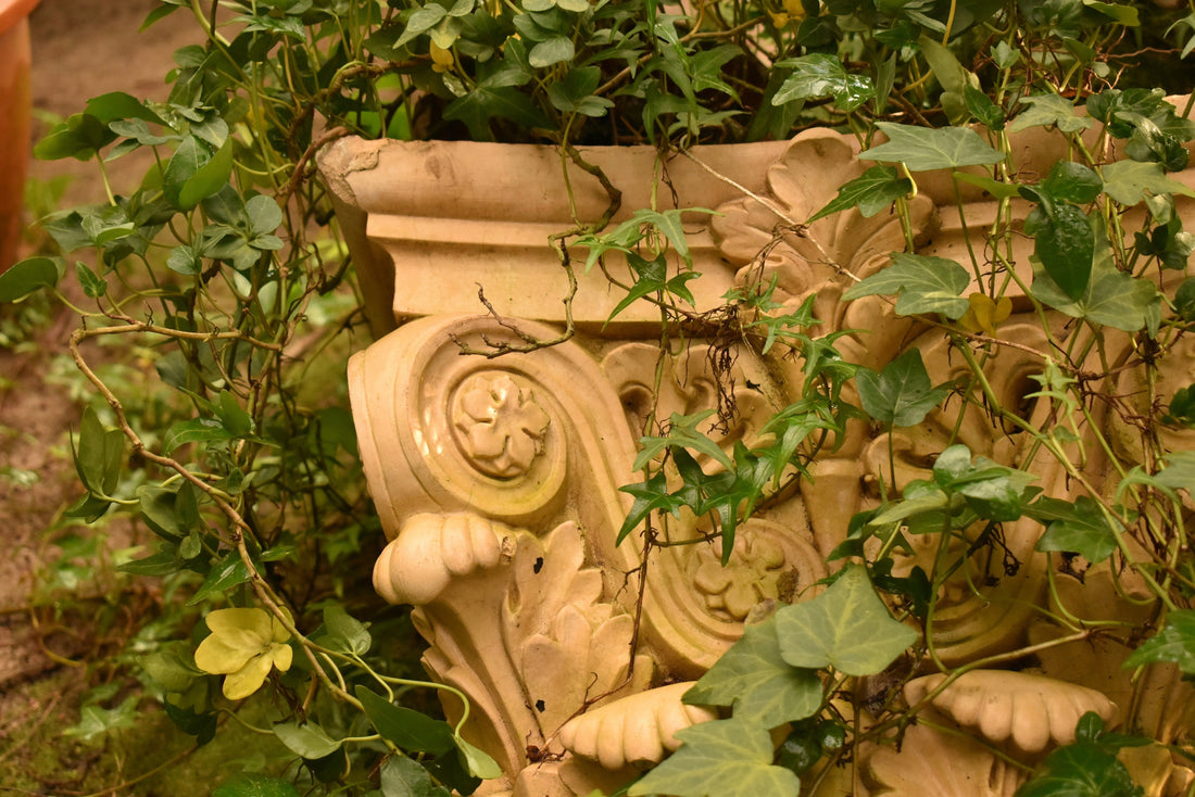 Botanical Design Through the Ages