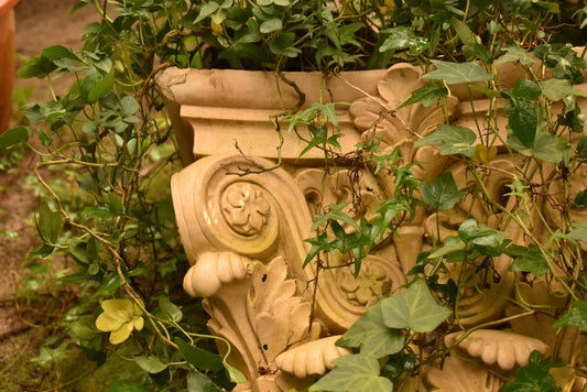 Botanical Design Through the Ages
