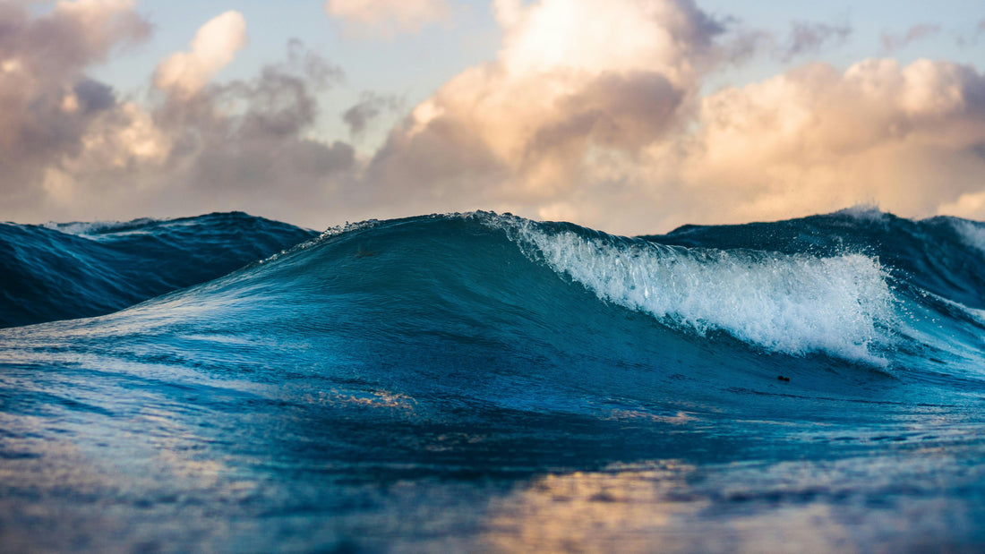 Welcome to the Ocean Gallery