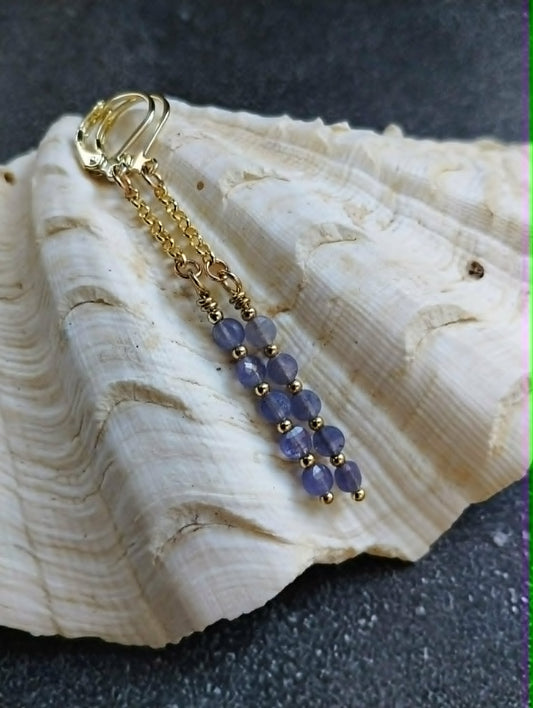 Twilight Earrings